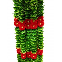 afarza Garland for Home Decoration Green Toran For Door Hanging Wholesale-12ps strings Pack-60 inch-naukat-ladi